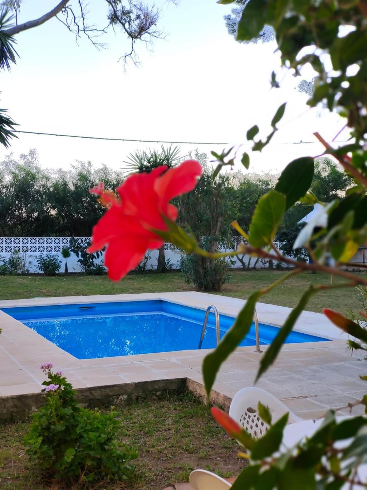 Apartment Casita De La Playa En Cabopino *