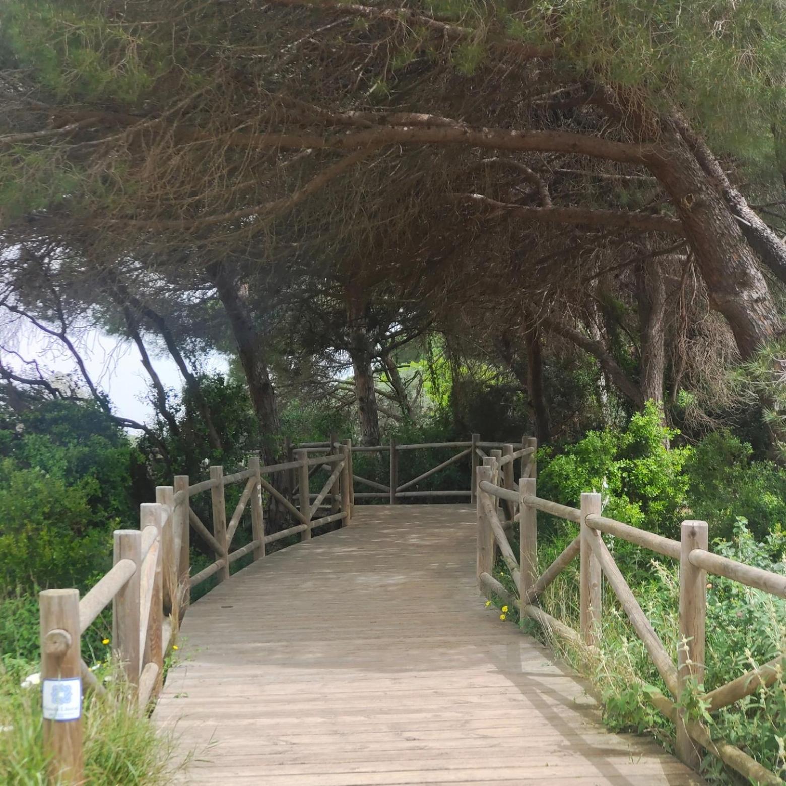 Apartment Casita De La Playa En Cabopino Marbella